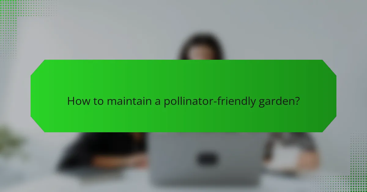 How to maintain a pollinator-friendly garden?