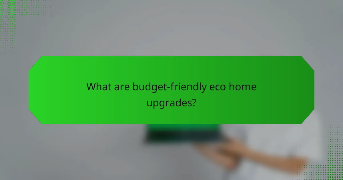 What are budget-friendly eco home upgrades?