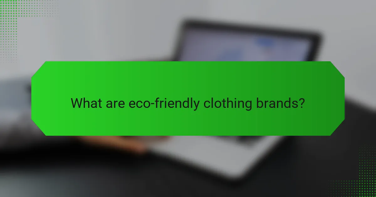 What are eco-friendly clothing brands?