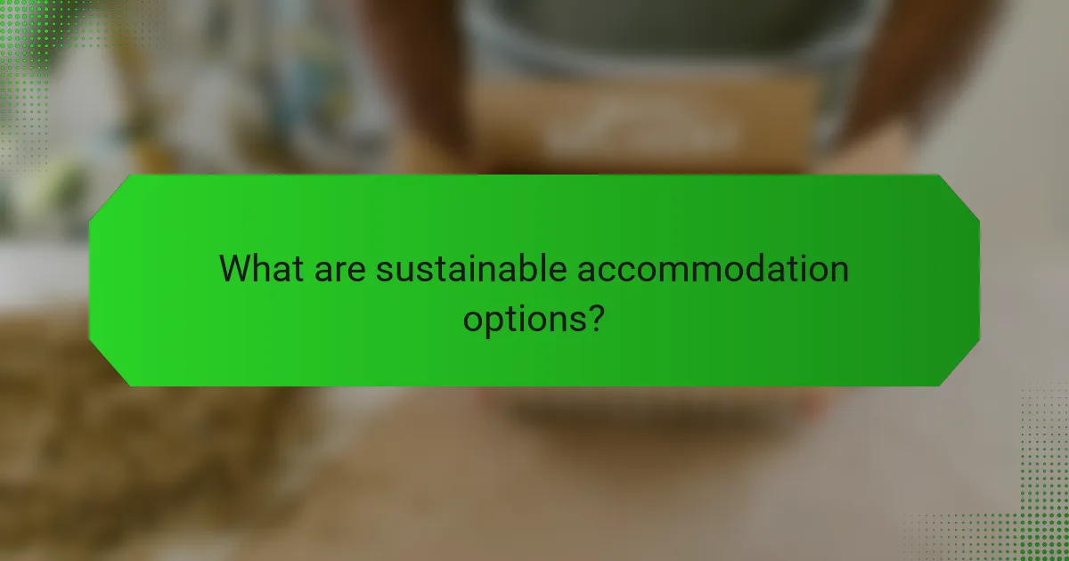 What are sustainable accommodation options?