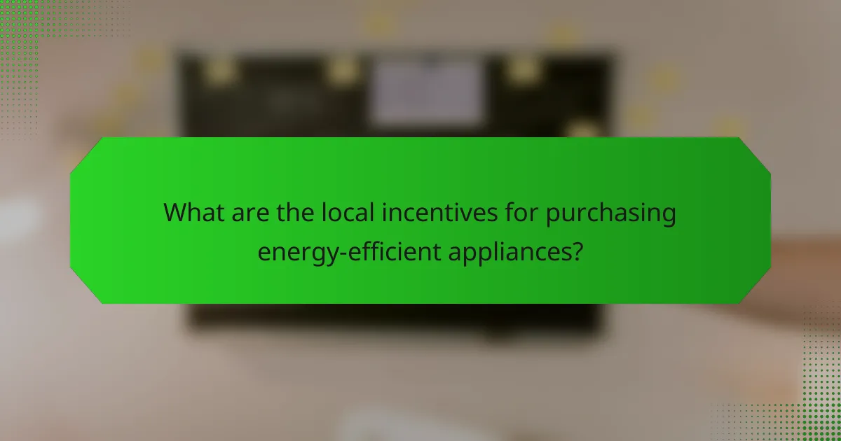What are the local incentives for purchasing energy-efficient appliances?