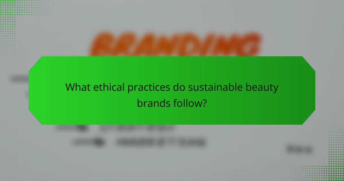 What ethical practices do sustainable beauty brands follow?