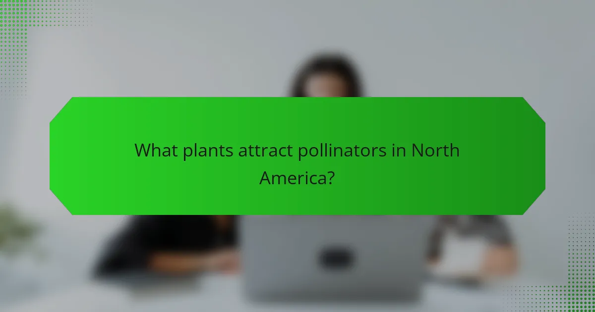 What plants attract pollinators in North America?